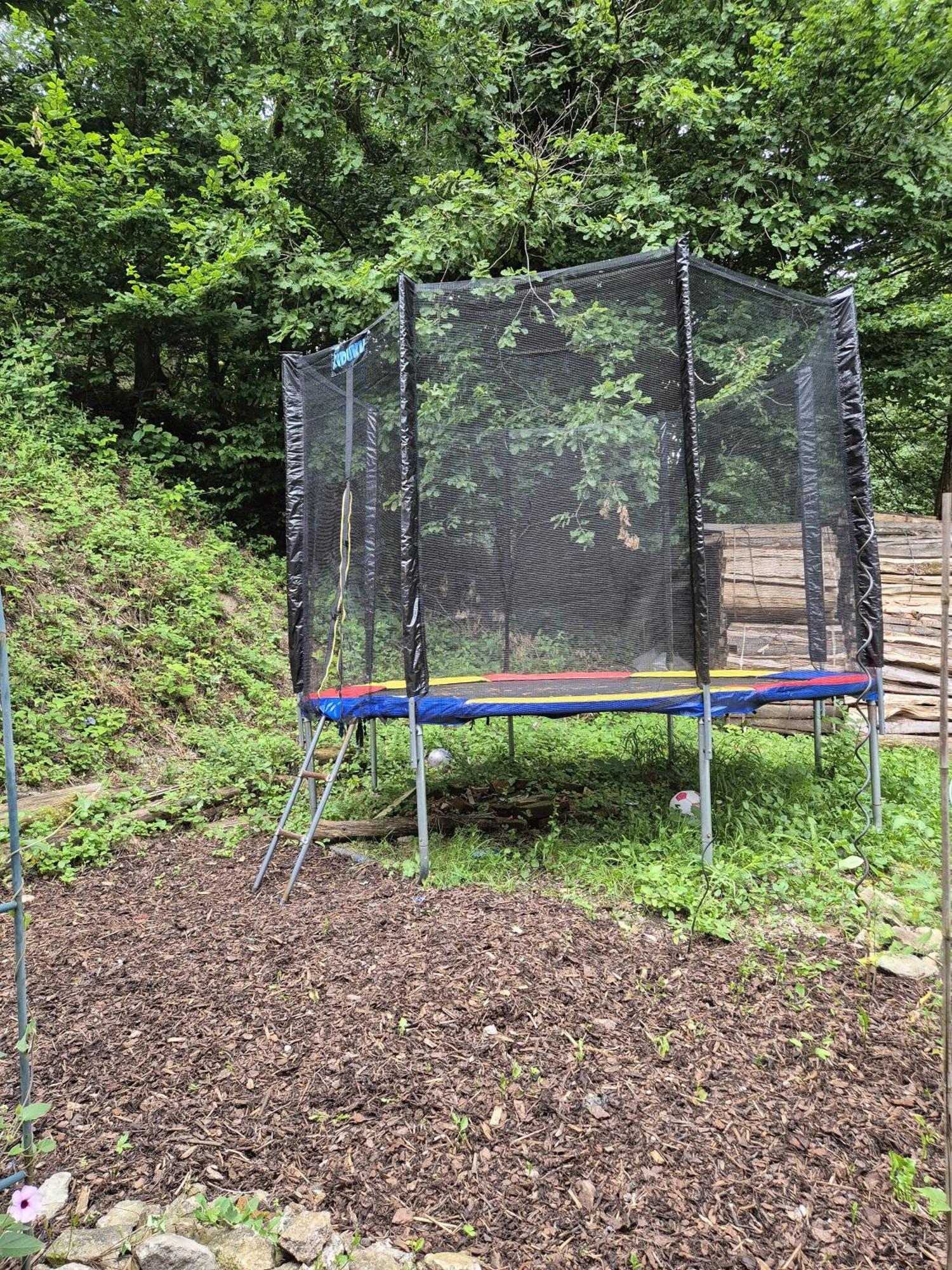 Ferienwohnung Am Hirschfelsen Buhlertal Luaran gambar